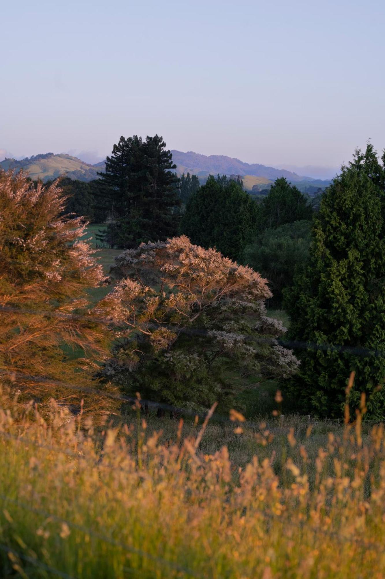 马斯特顿Ranginui Retreat别墅 外观 照片